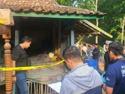 Polisi Berhasil Amankan Tersangka Pembunuhan di Sampang