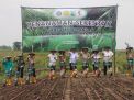 Perhutani Divre Jatim Tanam Padi Gogo di Bojonegoro, Dukung Swasembada Pangan