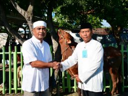 Komandan Puspenerbal Serahkan Hewan Kurban Usai Pelaksanaan Sholat Idul Adha 1446 H