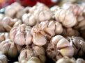 Pemerintah Diminta Stabilkan Harga Bawang Putih 