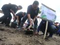 Antisipasi Perubahan Iklim, NasDem Jatim Tanam Ribuan Pohon Mangrove di Banyuwangi