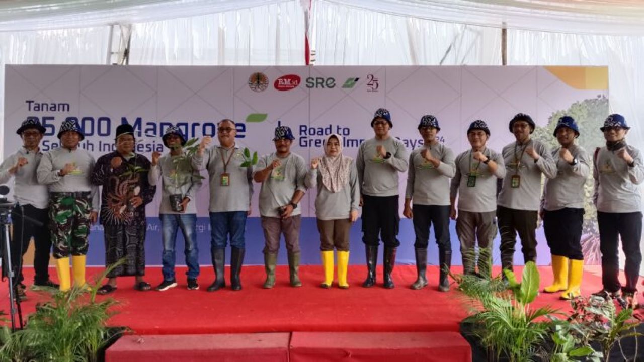 BPDAS Dodokan Moyosari Dorong Pemulihan Hutan Mangrove di Seluruh Indonesia
