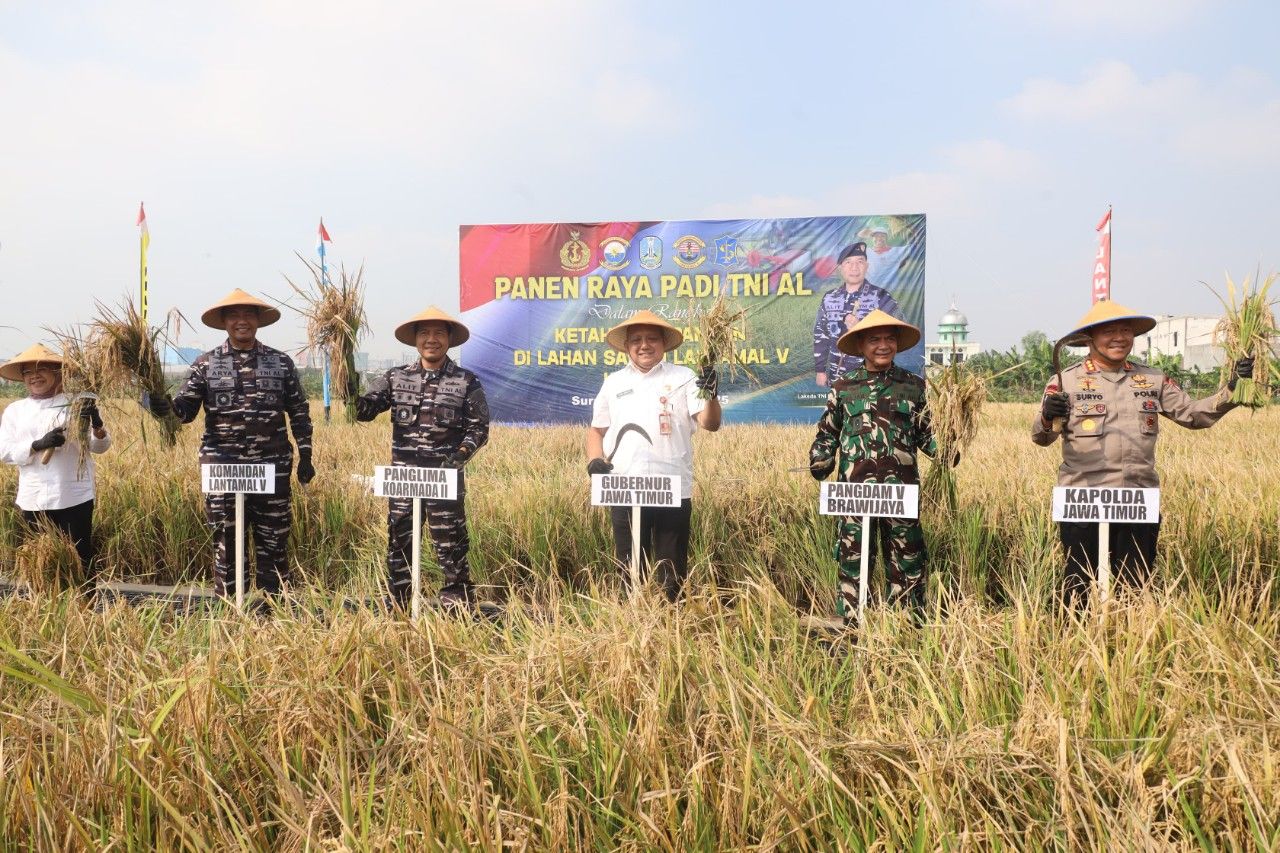 Wujudkan Program Ketahanan Pangan Pemerintah, Pangkoarmada II Pimpin Panen Raya Padi Di Wilayah Lantamal V Surabaya
