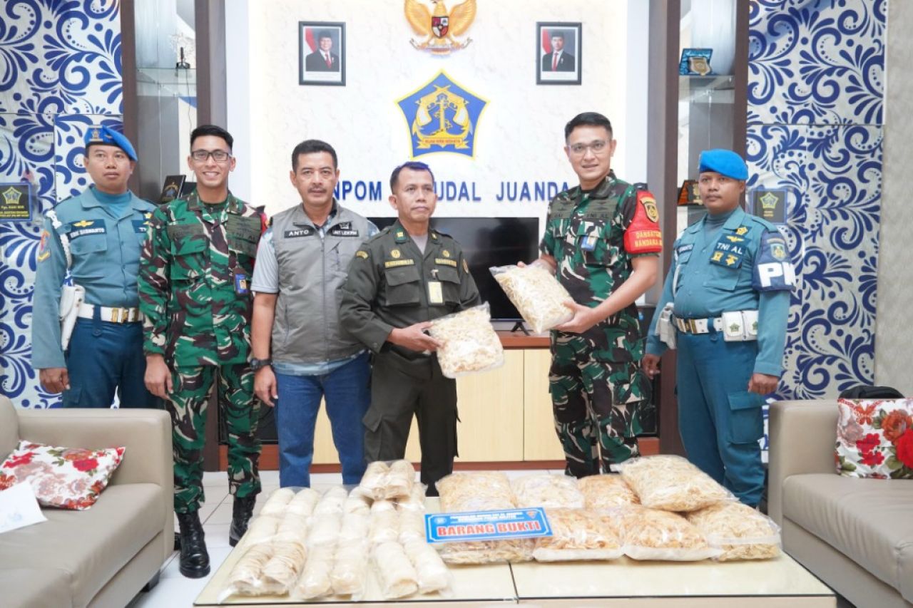 Lagi Lagi, Satgaspam TNI AL Bandara Juanda Gagalkan Upaya Pengiriman Ilegal 16 Kg Sarang Burung Walet