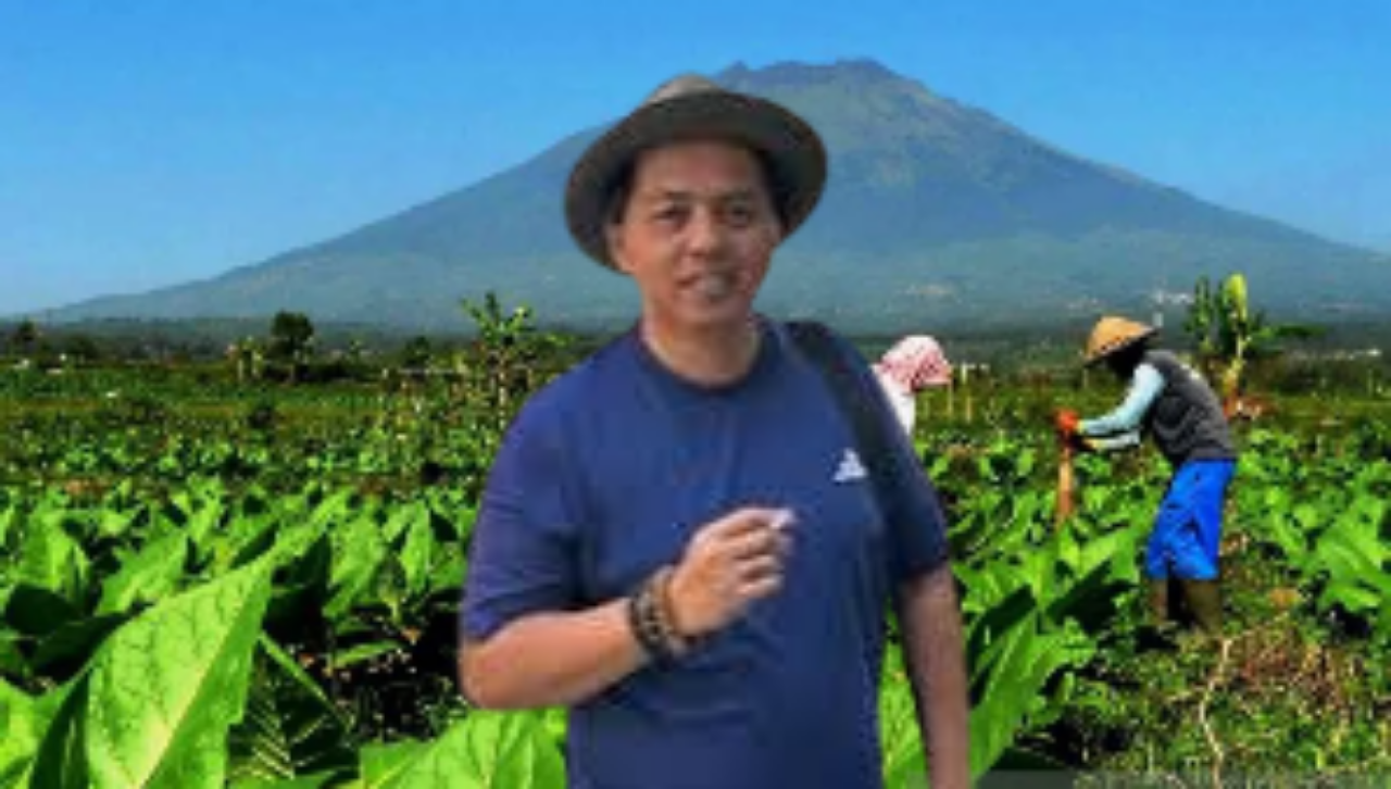 Industri Tembakau Timpang: Petani Terjepit, Keuntungan Terkunci di Industri