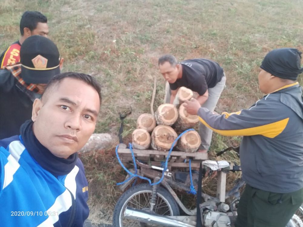 Polisi Hutan Perhutani Divre Jatim Tangkap Pelaku Pencuri Kayu Jati