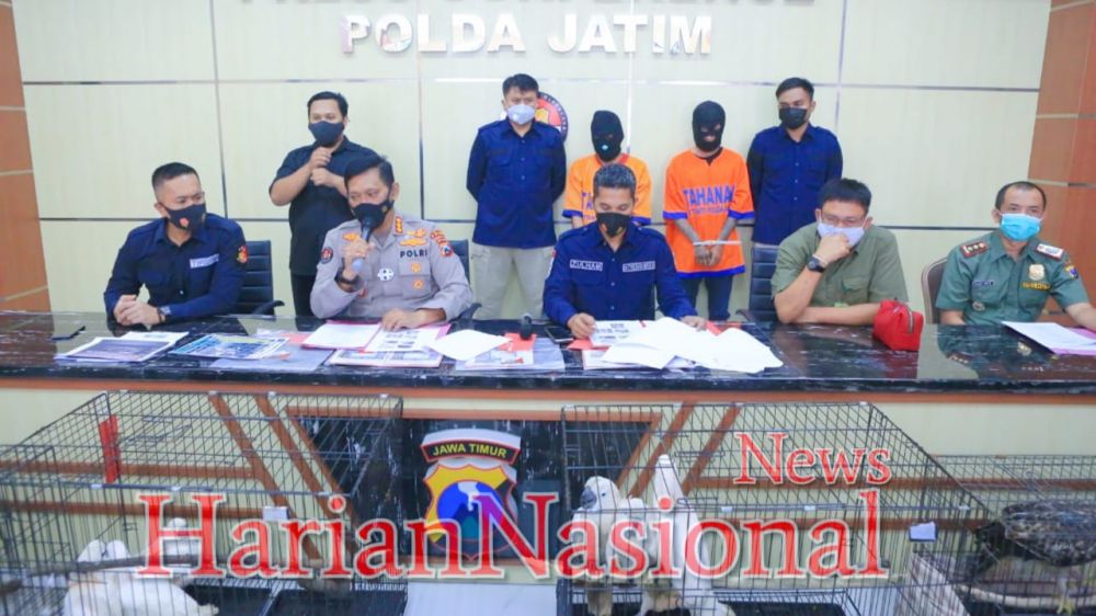 Ditreskrimsus Polda Jatim Gagalkan Perdagangan Satwa Dilindungi