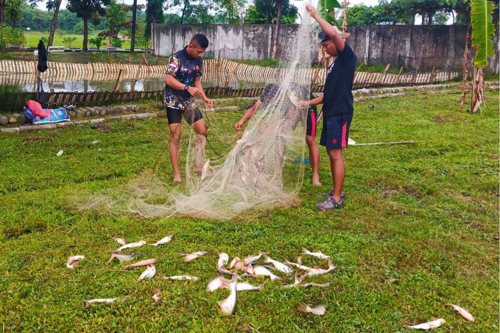 Komandan Resimen Artileri 2 Marinir Pasmar 2 Saksikan Panen Ikan
