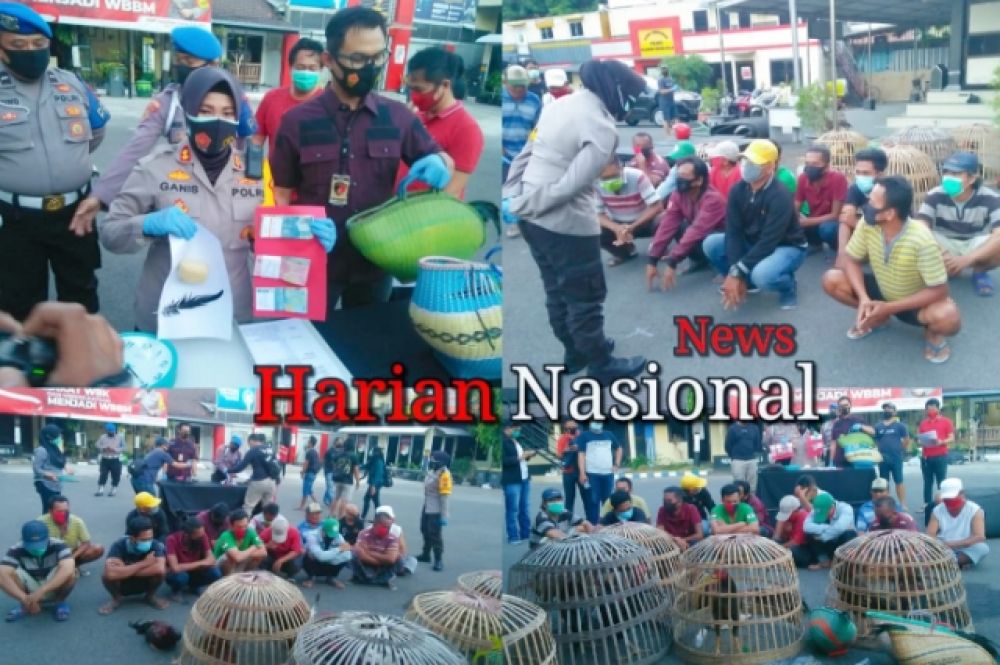 Giat Pers Release, 14 Tersangka Berikut BB Di Beber Polisi