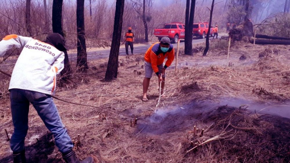 Meluasnya Kebakaran Di Bondowoso, Mobil Pemadam Tak Memadai