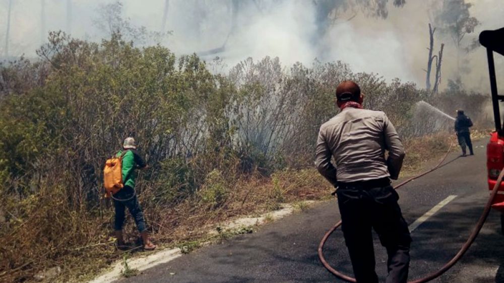 Kebakaran Gunung Ijen Meluas, Jalur Pendakian Terpaksa ditutup
